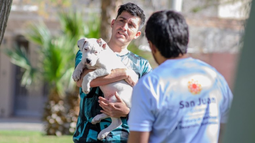Las actividades en San Juan por el Día del Animal. Las actividades en San Juan por el Día del Animal.