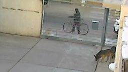 Trinidad: envenenador de perros quedó escrachado en un video