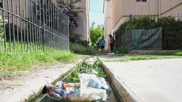 Vecinos preocupados temen por el dengue