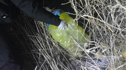 Las gaseosas incautadas en agosto de 2024 durante el procedimiento en el que detuvieron a los policías. Las gaseosas incautadas en agosto de 2024 durante el procedimiento en el que detuvieron a los policías.