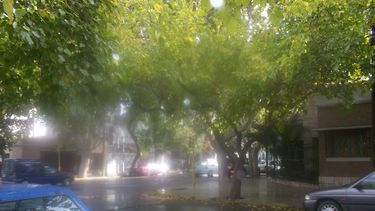 Alerta para San Juan por vientos intensos