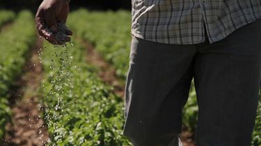 Las aromáticas sanjuaninas, protagonistas en Canal Encuentro