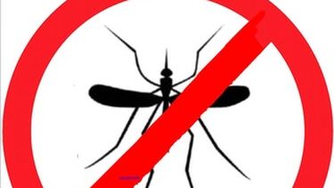 Buscan disminuir la población de mosquitos con capacitación