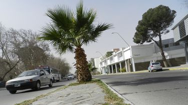 Pondrán un semáforo en la Libertador frente al Museo de Bellas Artes