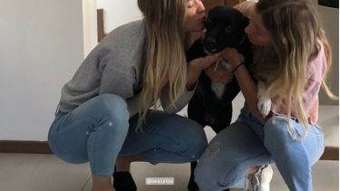 Video: Se recuperó el sexto caso de coronavirus y así la recibieron en su casa