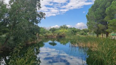 Recirculación del agua: cómo el Parque de la Biodiversidad busca disminuir el consumo hídrico