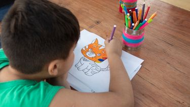 La serie de eventos desafortunados que envuelven a un ministerio nacional y afectó a los hijos de víctimas de femicidio en San Juan