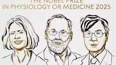 Mary E. Brunkow, Fred Ramsdell y Shimon Sakaguchi recibieron el Premio Nobel de Medicina.