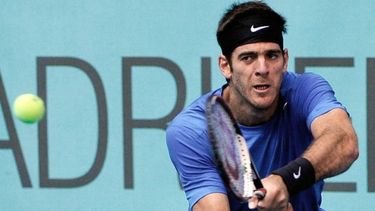 Del Potro perdió ante Tsonga y ya no quedan argentinos en el torneo