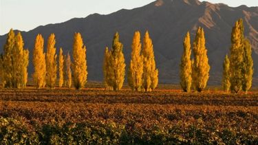 El otoño empieza fresco y con algunas nubes