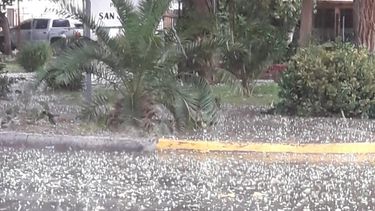 La lluvia sorprendió la tarde del domingo a San Juan con ¿granizo?