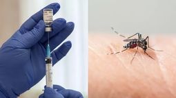 Vacuna contra el dengue: ¿qué dijeron en San Juan?
