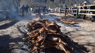 Las mejores postales de la Fiesta Provincial del Chivo 2025.