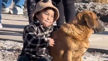 Video: una tierna postal en medio de una inauguración en San Martín