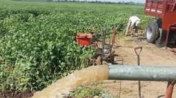 De 794 productores, el 48% accedió al subsidio en la tarifa eléctrica para riego agrícola