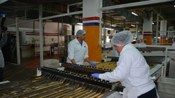 Fábrica de galletitas en Albardón: tras el cambio de dueño, la fábrica mantiene su producción, regularizó pagos y sostiene cerca de 290 puestos de trabajo. Fábrica de galletitas en Albardón: tras el cambio de dueño, la fábrica mantiene su producción, regularizó pagos y sostiene cerca de 290 puestos de trabajo.