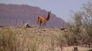 Se viene el Congreso Nacional de Áreas Protegidas
