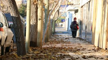 Este miércoles la máxima alcanzará los 14º