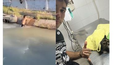 Héroe sin capa: un joven sanjuanino arriesgó su vida en un canal para salvar a una gatita