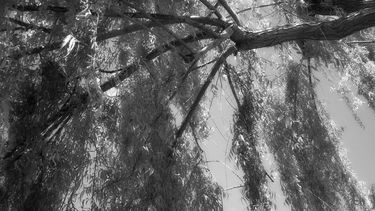 El callejón de la muerte sanjuanino