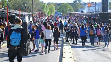 El color de la devoción