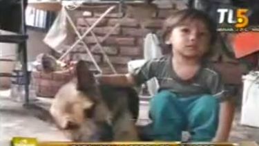 Catalina, la perra del milagro