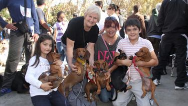 Capital: Perrotón y desfile de mascotas por el Día del Animal