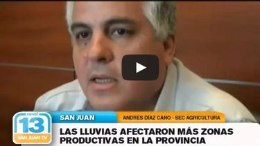 El granizo provocó pérdidas en más departamentos