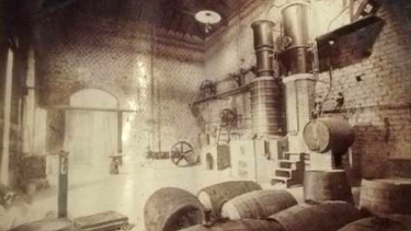 El anís (Pimpinella anisum) es una bebida espirituosa que se obtiene de la aromatización de un alcohol etílico de origen agrícola (en España también lo elaboran con vino), con extractos naturales de plantas que poseen la fragancia característica del anís.