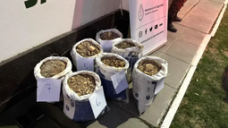 Quedaron libres los mineros chilenos atrapados robando oro en una mina sanjuanina Quedaron libres los mineros chilenos atrapados robando oro en una mina sanjuanina