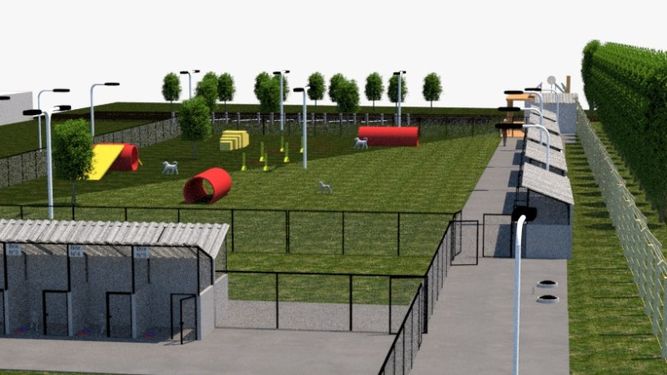 San Juan tendrá su primer refugio municipal para perros y gatos abandonados: cómo será y dónde estará