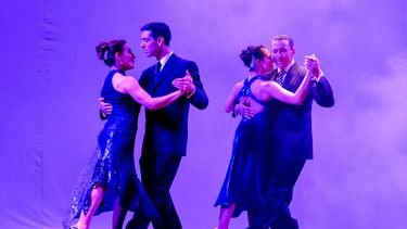 Más de 80 artistas brillaron en San Juan por la Identidad