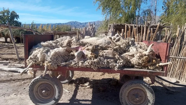 (Imagen: Canal 13 San Juan)