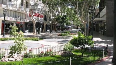 Desinfectarán la Peatonal para prevenir de mosquitos