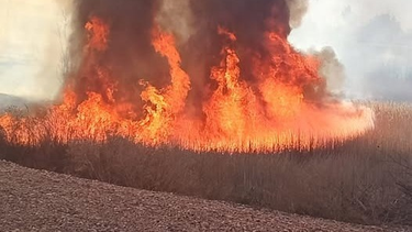 Se incendió una finca en la que proteccionistas de animales cuidaban caballos rescatados.