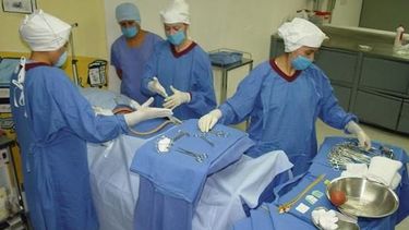 Se realizó con éxito un nuevo operativo de donación de órganos