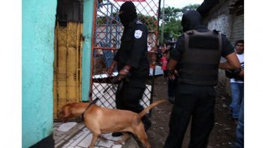 Lucha contra el narcotráfico: Hay un 50% más de denuncias al 0800