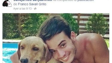 El posteo de un sanjuanino que busca a su perro se volvió viral