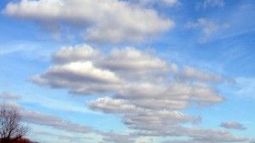 Máxima de 38º y probabilidad de tormentas para la tarde