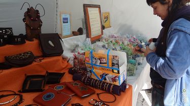 Convocan a cubrir puestos para el Paseo de Antigüedades