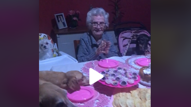 Una abuela se hizo viral por celebrar el cumpleaños rodeada de sus perros