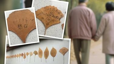 El amor entre esta pareja chino se mantiene vivo a través de las hojas que la mujer dedicó a su difunto marido.