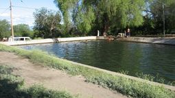 Ejemplar: mirá lo que hicieron los vecinos de Astica con su pileta