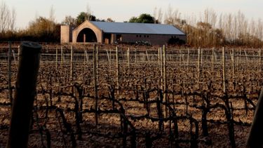 La semana se despide con máxima de 16º