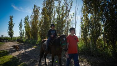 Cuando la conexión con un caballo es sinónimo de recuperación