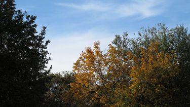 Máxima de 31º con probables chaparrones hacia la tarde