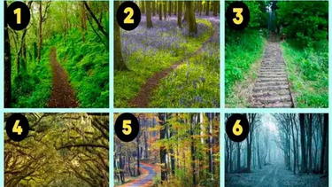 Test viral: el camino que elijas revelará cómo influye tu personalidad en las relaciones