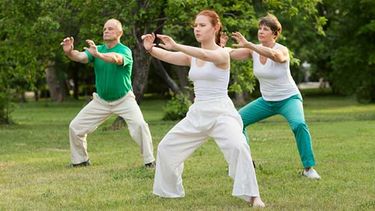 la disciplina oriental que harvard recomienda para mayores de 60 la disciplina oriental que harvard recomienda para mayores de 60