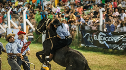 Las claves a tener en cuenta para ir a la XXIII Fiesta Nacional de las Destrezas Criollas y el Folklore, en Rawson.