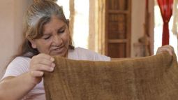 “La Ruta del Arte”, nominado como mejor programa cultural